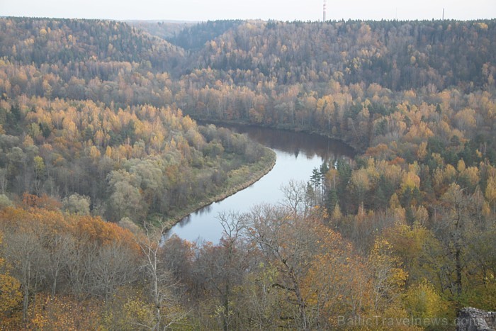 Rudens «zelts» izkrāšņo Turaidas muzejrezervātu. Foto sponsors: www.tourism.sigulda.lv 83635