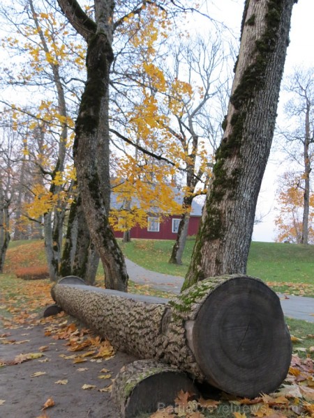 Rudens «zelts» izkrāšņo Turaidas muzejrezervātu. Foto sponsors: www.tourism.sigulda.lv 83674