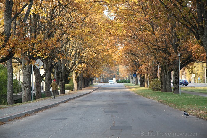 Sigulda rudens ietērpā. Foto sponsors: www.tourism.sigulda.lv 83678