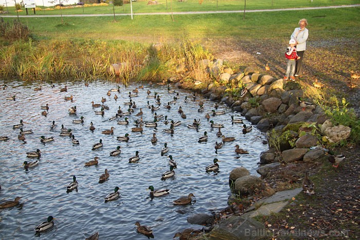 Sigulda rudens ietērpā. Foto sponsors: www.tourism.sigulda.lv 83684