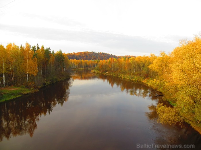 Gaujas ieleja rudens ietērpā. Foto sponsors: www.tourism.sigulda.lv 83691