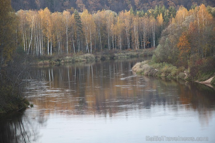 Gaujas ieleja rudens ietērpā. Foto sponsors: www.tourism.sigulda.lv 83692