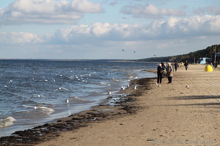 Jūrmala rudenī. Foto sponsors: www.tourism.jurmala.lv 83694