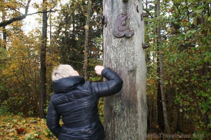 Vietu enerģijas stabam izvēlējās ekstrasensi. Foto: www.terviseturism.ee 84033