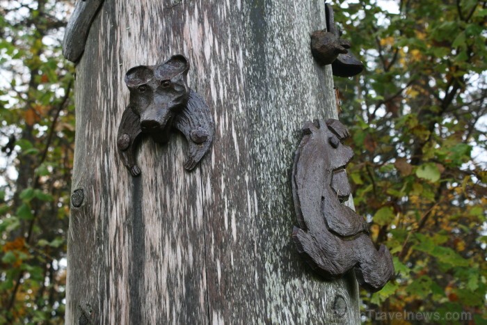 Simbols tam, ka šajā nemitīgi mainīgajā pasaulē cilvēks ir daļa dabas - viss balstās dabas noteikumos un līdzsvarā. 
Foto: www.terviseturism.ee 84036