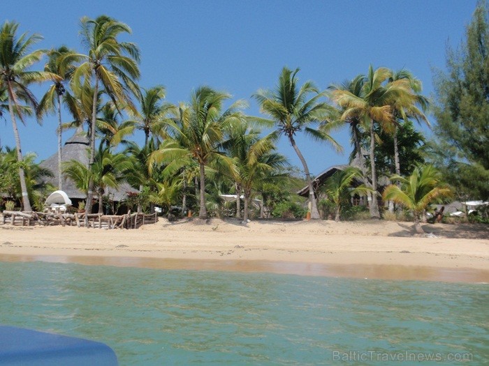 Madagaskaras sala Nosy Be jeb Lielā sala piedāvā tās viesiem plašu dabas un augu dažādību. Foto:  www.a-sono.lv 84109