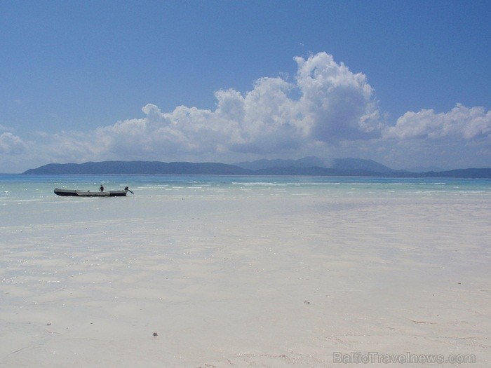 Madagaskaras sala Nosy Be jeb Lielā sala piedāvā tās viesiem plašu dabas un augu dažādību. Foto:  www.a-sono.lv 84114