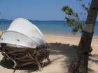 Madagaskaras sala Nosy Be jeb Lielā sala piedāvā tās viesiem plašu dabas un augu dažādību. Foto:  www.a-sono.lv 10