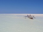 Madagaskaras sala Nosy Be jeb Lielā sala piedāvā tās viesiem plašu dabas un augu dažādību. Foto:  www.a-sono.lv 22