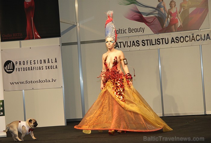 Skaistumkopšanas izstādes «Baltic Beauty 2012» konkursi  - «Body art 2012» un asociatīvā tēla konkurss. Foto sponsors: www.startours.lv 84303