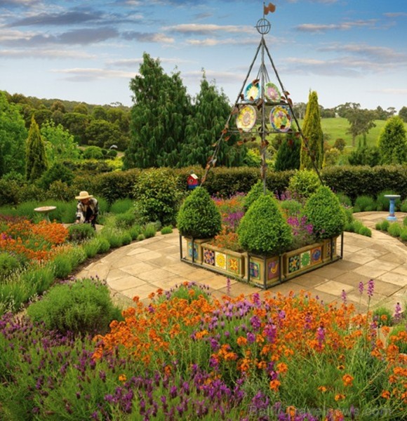 Morningtonas pussala atrodas Austrālijā un tā spēj pārsteigt ar grandioziem 19.gs. dārziem un neskartiem krūmājiem. Foto: www.visitmorningtonpeninsula 84494