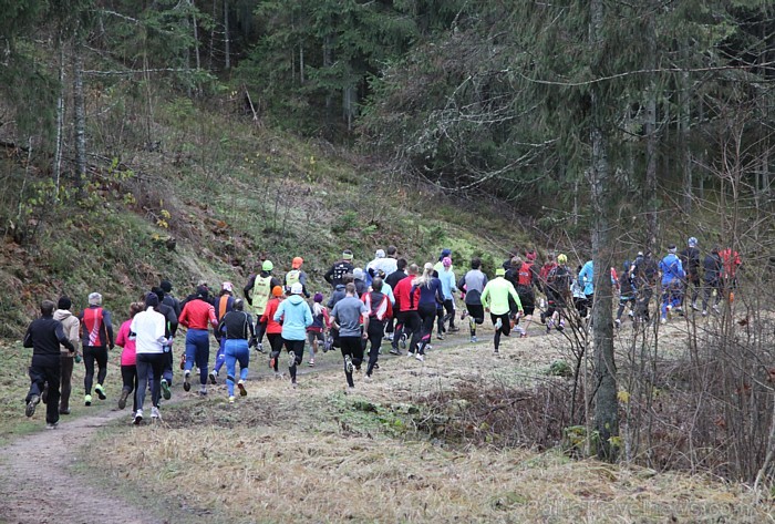 Sezonas noslēguma skrējiens Zilajos kalnos 10.11.2012. Foto sponsors: www.LatvijasCentrs.lv 84560