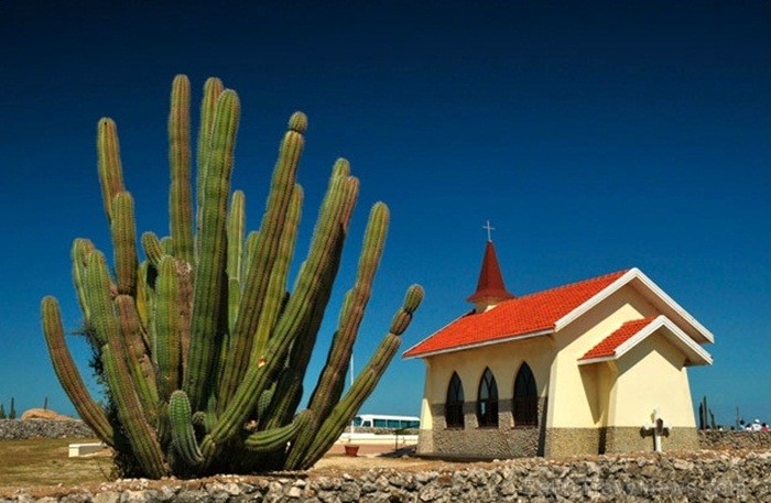 Aruba ir 33km gara sala Mazo Antiļu salu grupā, kas kopā ar Nīderlandi, Sintmārtenu un Kirasao veido Nīderlandes karalisti. Foto: www.aruba.com 85351