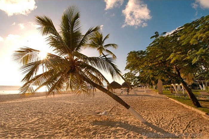 Aruba ir 33km gara sala Mazo Antiļu salu grupā, kas kopā ar Nīderlandi, Sintmārtenu un Kirasao veido Nīderlandes karalisti. Foto: www.aruba.com 85383