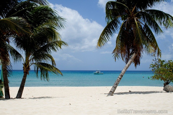 Kaimanu Salas ir vienas no vadošajām niršanas tūristu ceļamērķiem pasaulē, kas atrodas Karību jūras rietumos un ir Lielbritānijas aizjūras teritorija. 85990