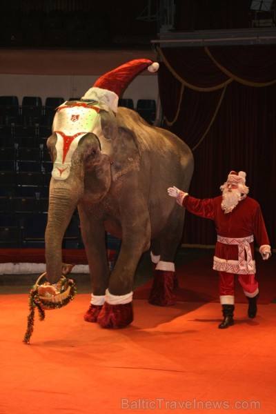 Rīgas cirks 14.12.2012 prezentēja jauno Ziemassvētku cirka programmu 