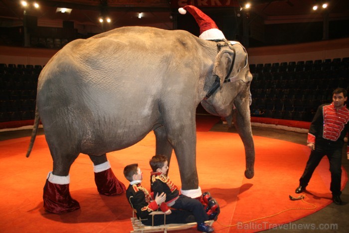 Rīgas cirks 14.12.2012 prezentēja jauno Ziemassvētku cirka programmu 