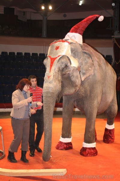 Rīgas cirks 14.12.2012 prezentēja jauno Ziemassvētku cirka programmu 