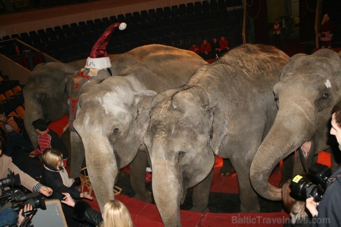 Rīgas cirks 14.12.2012 prezentēja jauno Ziemassvētku cirka programmu 