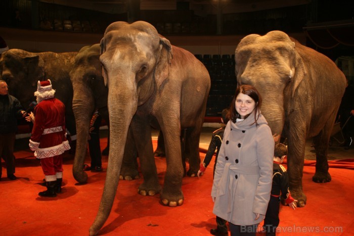 Rīgas cirks 14.12.2012 prezentēja jauno Ziemassvētku cirka programmu 