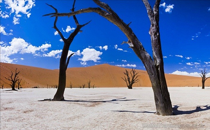Namībija ietver sevī vārdiem neaprakstāmas dabas ainavas un katrai no tām ir savs raksturs un valdzinājums. Foto: www.namibiatourism.com.na 86766