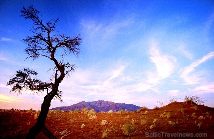 Namībija ietver sevī vārdiem neaprakstāmas dabas ainavas un katrai no tām ir savs raksturs un valdzinājums. Foto: www.namibiatourism.com.na 86776