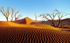 Namībija ietver sevī vārdiem neaprakstāmas dabas ainavas un katrai no tām ir savs raksturs un valdzinājums. Foto: www.namibiatourism.com.na 21