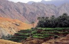 Omānas Sultanāts tiek dēvēts par vienu no tradicionālākajām un skaistākajām arābu zemēm. Foto: Oman Ministry of Tourism 27