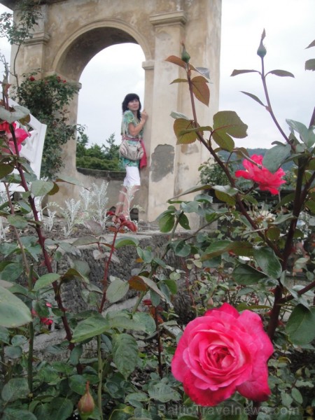 Dečinas rožu dārzi. Remiro Travel piedāvā braucienus 2013. gada jūlijā un augustā uz Saksijas un Bohēmijas Šveici. Foto: www.remirotravel.lv 87287