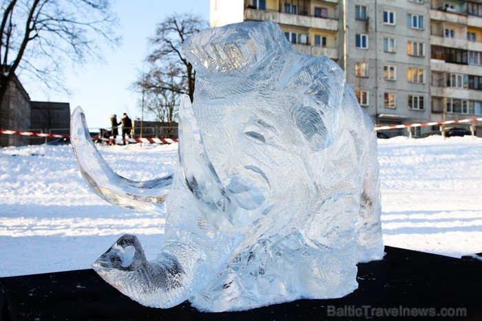 Svētdien, 27.01.2013, vairāk nekā 1000 Vecmīlgrāvja iedzīvotāju ar prieku nodevās 