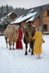 Atpūtas komplekss Rakši ziemā piedāvā izbraucienus ar kamieļiem, pastaigas kopā ar lamām, izbraukumus ar sniega motocikliem un citas aktivitātes svaig 8