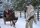 Atpūtas komplekss Rakši ziemā piedāvā izbraucienus ar kamieļiem, pastaigas kopā ar lamām, izbraukumus ar sniega motocikliem un citas aktivitātes svaig 10