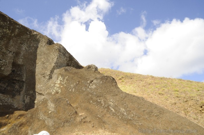 Kalnā tika atrasti aptuveni 100 Moai, kas bija nepabeigti, tos izvilka un uzstādija visur ap salu - www.traveltime.lv 89438