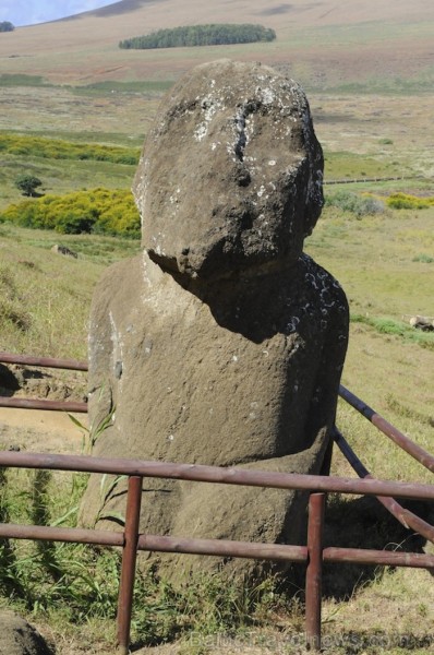 Šis ir vienīgais sēdošais Moai pa visu salu. Visi pārējie Moai ir stāvošā pozīcijā - www.traveltime.lv 89439