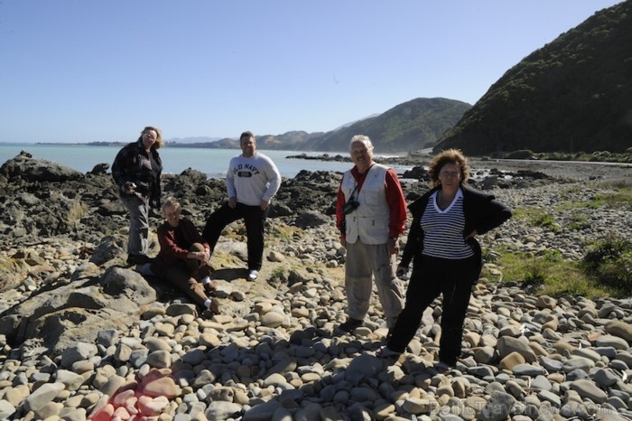 Pie Tasmānijas jūras krasta grupa apstājās, lai pameklētu kādu gliemežvāku, ko aizvest uz mājām, kā arī bez foto pauzes neiztikt - www.traveltime.lv 89473