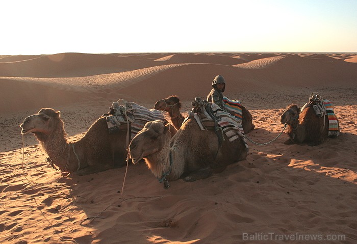 Dodies ar kamieli iepazīt Sahāras saullēktu Tunisijā. Vairāk informācijas par Tunisiju kā tūrisma galamērķi www.tourisme.gov.tn 90037