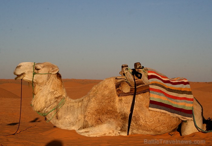 Dodies ar kamieli iepazīt Sahāras saullēktu Tunisijā. Vairāk informācijas par Tunisiju kā tūrisma galamērķi www.tourisme.gov.tn 90042