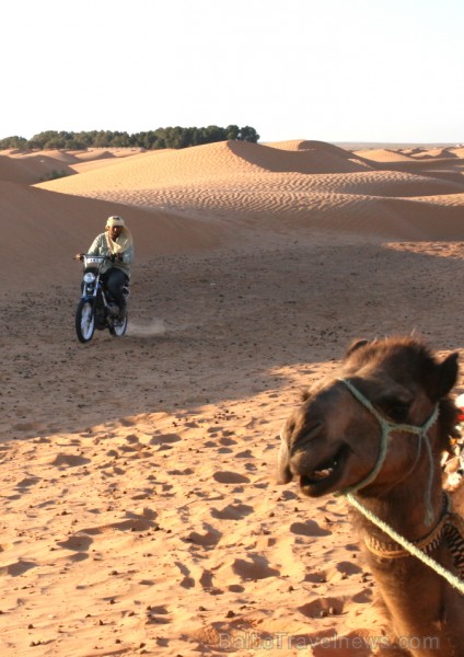 Dodies ar kamieli iepazīt Sahāras saullēktu Tunisijā. Vairāk informācijas par Tunisiju kā tūrisma galamērķi www.tourisme.gov.tn 90044