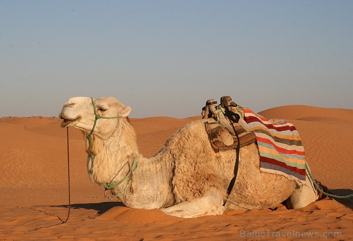 Dodies ar kamieli iepazīt Sahāras saullēktu Tunisijā. Vairāk informācijas par Tunisiju kā tūrisma galamērķi www.tourisme.gov.tn 90049