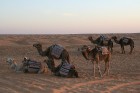 Dodies ar kamieli iepazīt Sahāras saullēktu Tunisijā. Vairāk informācijas par Tunisiju kā tūrisma galamērķi www.tourisme.gov.tn 2