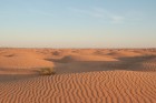 Dodies ar kamieli iepazīt Sahāras saullēktu Tunisijā. Vairāk informācijas par Tunisiju kā tūrisma galamērķi www.tourisme.gov.tn 6