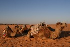 Dodies ar kamieli iepazīt Sahāras saullēktu Tunisijā. Vairāk informācijas par Tunisiju kā tūrisma galamērķi www.tourisme.gov.tn 15
