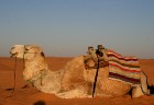 Dodies ar kamieli iepazīt Sahāras saullēktu Tunisijā. Vairāk informācijas par Tunisiju kā tūrisma galamērķi www.tourisme.gov.tn 16
