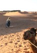 Dodies ar kamieli iepazīt Sahāras saullēktu Tunisijā. Vairāk informācijas par Tunisiju kā tūrisma galamērķi www.tourisme.gov.tn 18