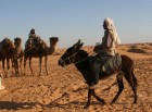 Dodies ar kamieli iepazīt Sahāras saullēktu Tunisijā. Vairāk informācijas par Tunisiju kā tūrisma galamērķi www.tourisme.gov.tn 27