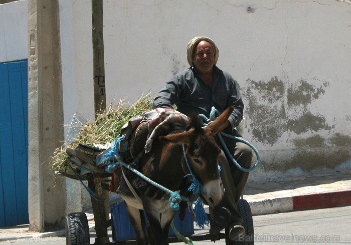 Douz – ir tipisks Tunisijas ciemats tuksnesī: tirdziņos šeit var nopirkt berberu rotaslietas un kamieļu ādas izstrādājumus, iedzīvotāji audzina vēja s 90302