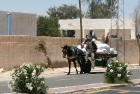 Douz – ir tipisks Tunisijas ciemats tuksnesī: tirdziņos šeit var nopirkt berberu rotaslietas un kamieļu ādas izstrādājumus, iedzīvotāji audzina vēja s 3