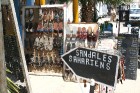 Douz – ir tipisks Tunisijas ciemats tuksnesī: tirdziņos šeit var nopirkt berberu rotaslietas un kamieļu ādas izstrādājumus, iedzīvotāji audzina vēja s 5