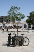 Douz – ir tipisks Tunisijas ciemats tuksnesī: tirdziņos šeit var nopirkt berberu rotaslietas un kamieļu ādas izstrādājumus, iedzīvotāji audzina vēja s 17