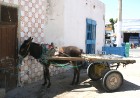 Medenina ir Tunisijas pilsēta, uz kuru ceļotāji dodas brīnumaino panorāmu meklējumos. Te var atrast berberu un romiešu kultūru pieminekļus. Šodien ied 31